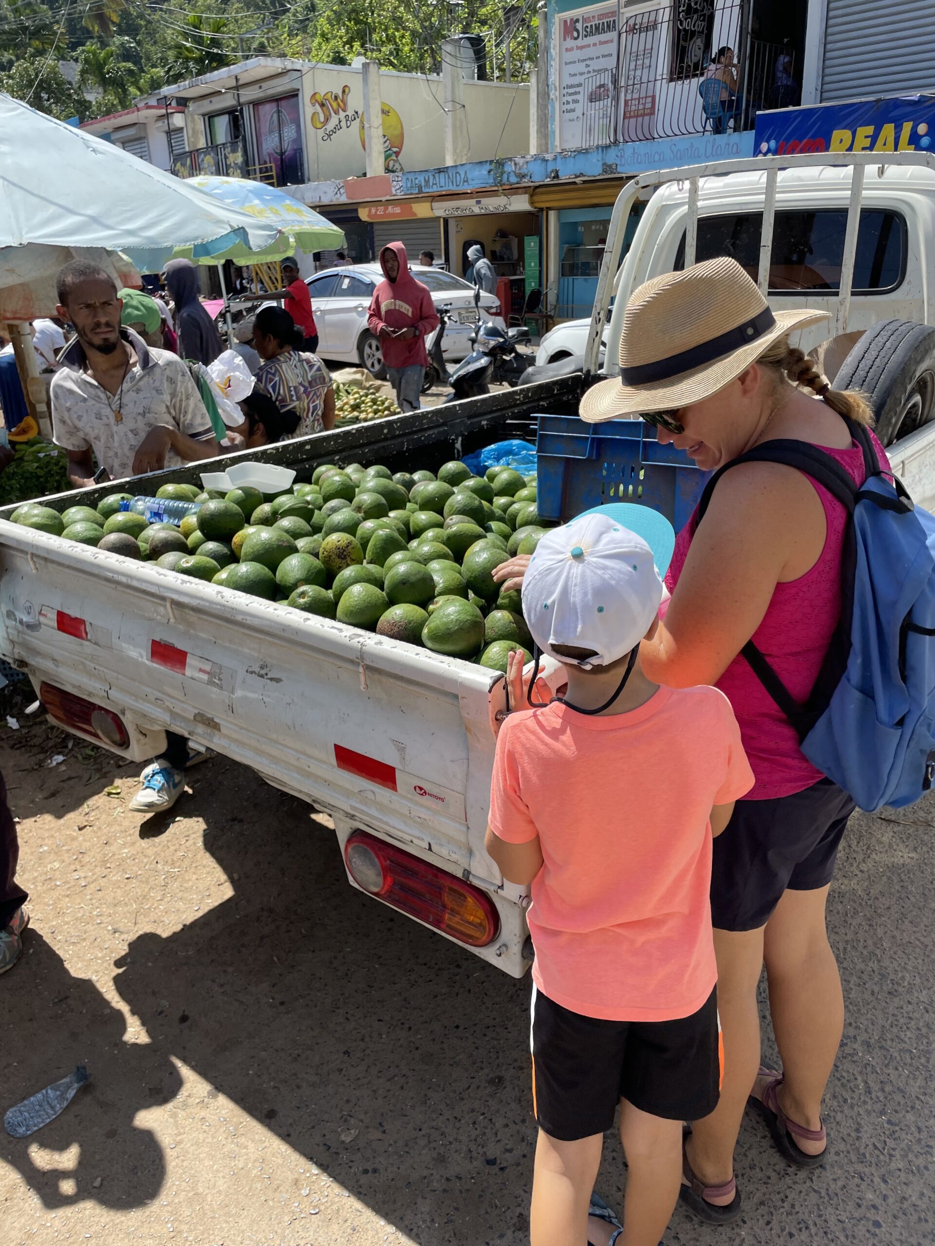 Parent teaching child about fresh green avocados that are in the back of a pickup truck at an outdoor market in Samana, Dominican Republic.